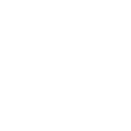 Backup Online